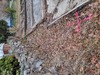 web_2022-04-14_073501_20220414_073501.jpg