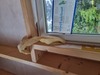 web_2022-09-10_151749_20220910_151749.jpg