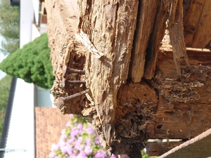 web_2021-06-12_115143_2021-06-12_115143_DSC_9610.jpg
