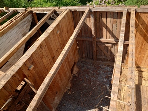 web_2021-06-19_150857_2021-06-19_150857_DSC_9650.jpg